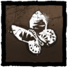 Dead Butterfly
